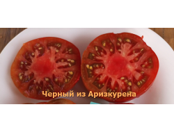Томат Черный из Аризкурена (Negro de Aritzkuren)