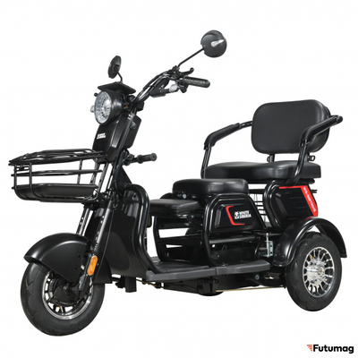 Пассажирский трицикл WHITE SIBERIA SIBTRIKE 2000W