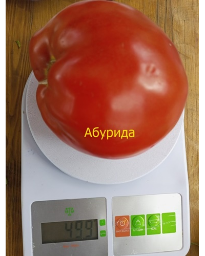 Томат Абурида