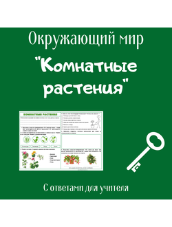 Рабочий лист. 2 класс. "Комнатные растения"
