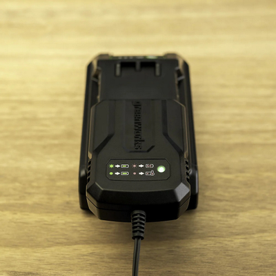 Зарядное устройство  Greenworks G24UC2 2А