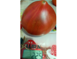 Томат Черное сердце с носиком от Борисовны (усл)