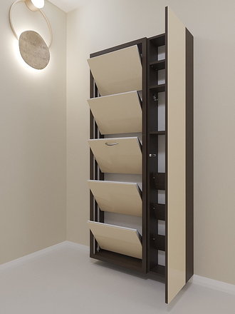 Обувница Айрон-5 Дуэт (фасад стекло капучино)