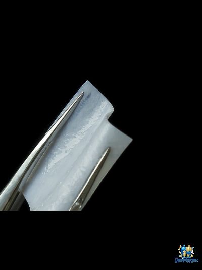 bioPLATE MEMBRANE Barrier – Защитная мембрана