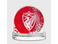 Водяной шар Ливерпуль, Liverpool FC №9