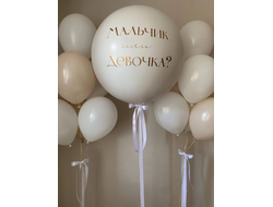 Комплект шаров на гендер-пати №2