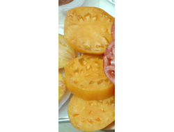 Томат Медовый спас