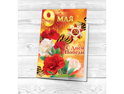 Обложка 9 мая на паспорт №9