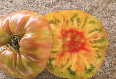 Томат Капитан Лаки (Captain Lucky), 10 шт.