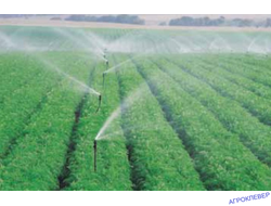 Малообъемный шариковый разбрызгиватель 1/2нар. Mamkad