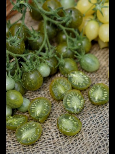 Томат Sister keyes (Систер Киз), 10 шт