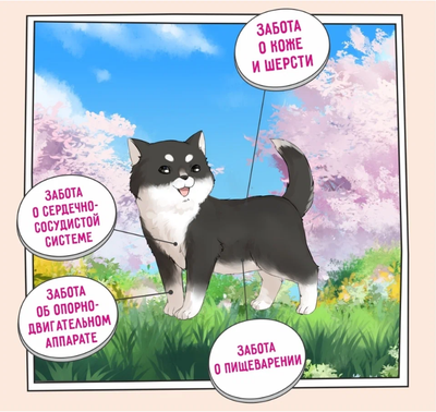 ZILLII Puppy Гипоаллергенный сухой корм для щенков  Индейка с Ягнёнком 15 кг