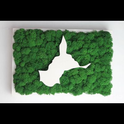 ЖИВАЯ ЭКО-КАРТИНА 1033