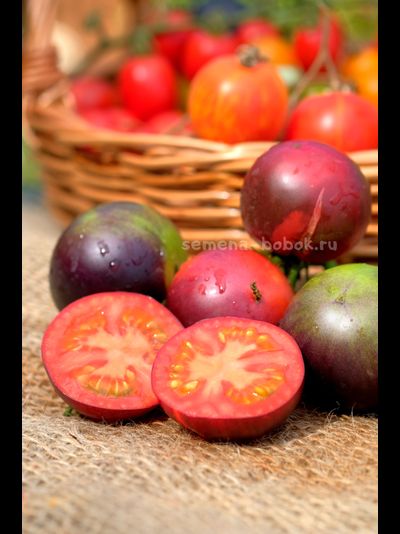 Томат Dwarf Gondwana Rose (Гном Гондвана Роза), 10 шт