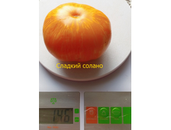 Томат Сладкий Солано (AAA Sweet Solano)