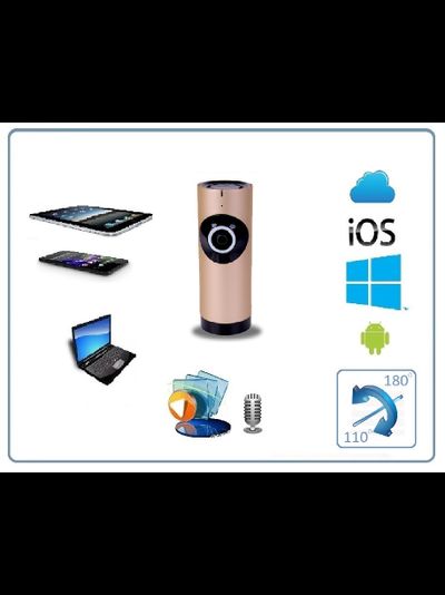 Видеоняня /WiFi видеокамера панорамная с DVR (fish_R), HD) (360EyeS)