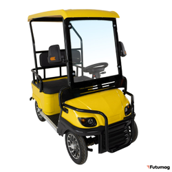 Гольфкар GreenCamel A2 ECO (2 seats 800W R8) пониженная