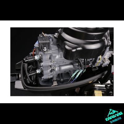 Лодочный мотор Suzuki DT9.9AS