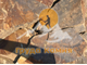 Песчаник Опавшая листва
