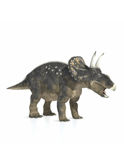 динозавры Динозавр Diceratops