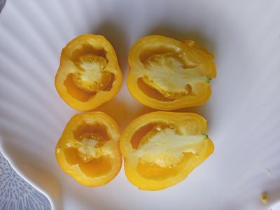 Томат Сливка Бендрика желтая