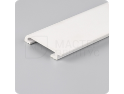 Плинтус из дюрополимера TeckWood ДП3 80х16х2000 мм. покрашенный в цвет RAL