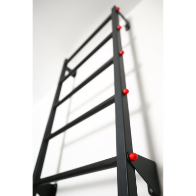 Шведская стенка Ferrum Force F1 купить в Воронеже