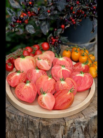 Томат Клубничный Сержант, 10 шт