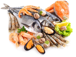 Морепродукты