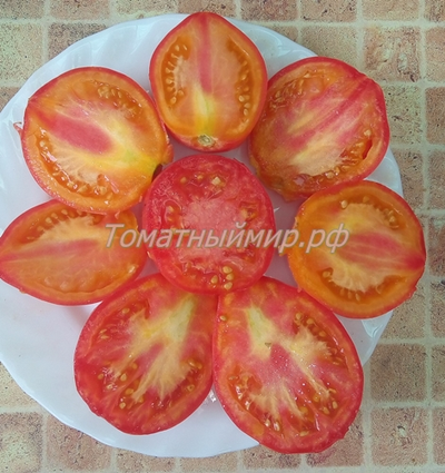 Томат Козула 141 (Kozula 141)