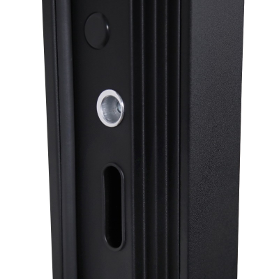 Стальная дверь   Silver с зеркалом. Заказная модель.