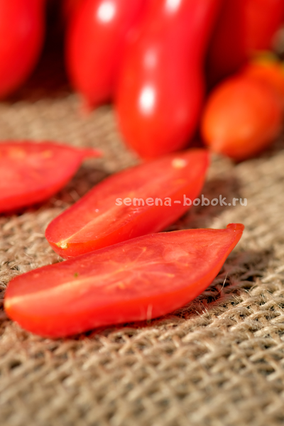 Томат Pelino 2014 (Пелино 2014), 7 шт