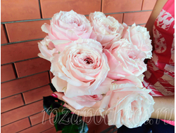 ЯПОНСКИЕ РОЗЫ