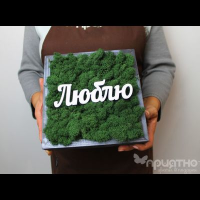 ЖИВАЯ ЭКО-КАРТИНА 1057