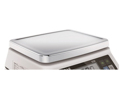 Платформа из нержавеющей стали для CAS SWN