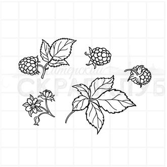 Штамп листья и ягоды малины