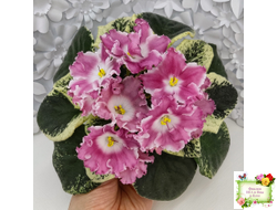 НД-Морковка (Н. Данилова-Суворова) 2021 г.