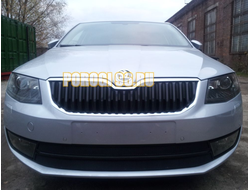 Защита радиатора Skoda Octavia А7 (Ambition, Elegance, Style) 2013-2017 black