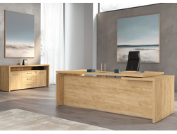 Кабинет руководителя TORR-Z