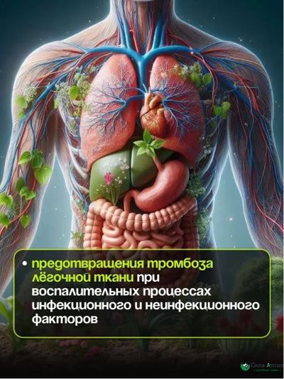 Бронхо-легочный комплекс 3в1