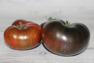 Гном Восторг Диппера (Dwarf Dipper’s Delight)