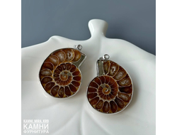 Аммониты парные крупные кулоны 28-34х23-28 мм, цена за пару