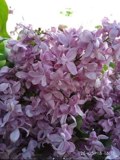 Богдан Хмельницкий