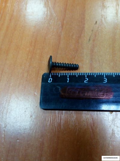 3,6*15,9 черная облицовки порога ВАЗ 2123 ( цена за 100 шт.)