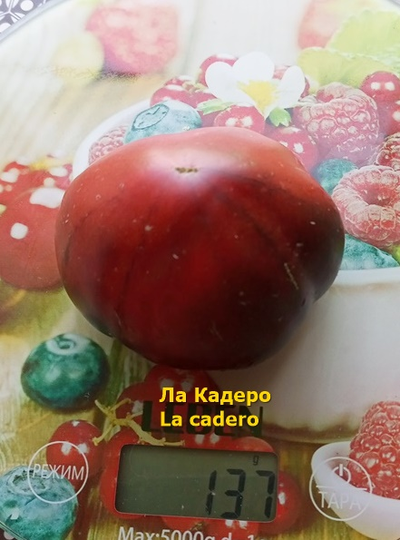 Томат Ла Кадеро (La Cadero)