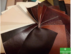 Кожа Бразилия