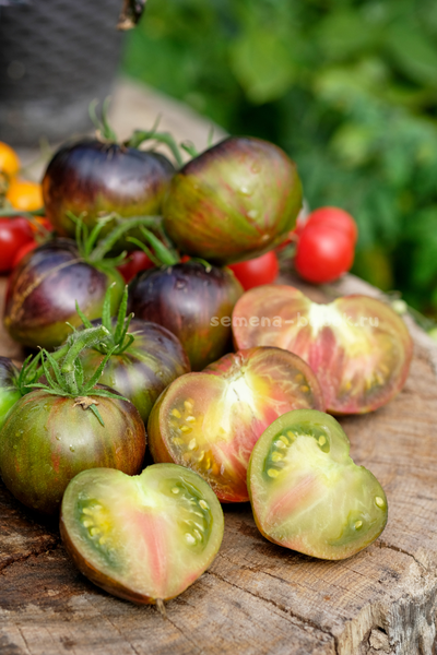 Томат Изумрудный Дождь, 10 шт