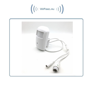 Видеоняня/Охранная IP WiFi-LAN видеокамера с ночным видением и аудиоканалом (корпус ИК датчика), встроенный DVR. Full HD (CamHi)