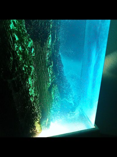 Светильник ночник из дерева и смолы &quot;Риф&quot;