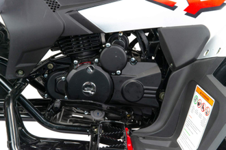 Квадроцикл VOX250 RALLY